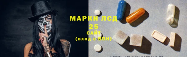 мдпв Верхний Тагил