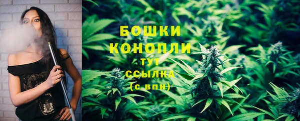 мдпв Верхний Тагил