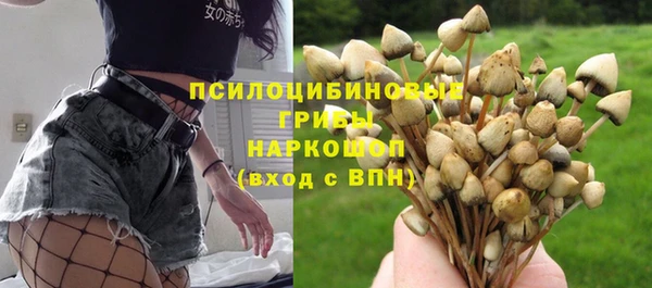 мдпв Верхний Тагил